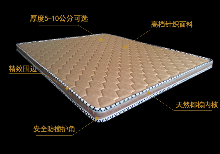 Nệm cọ dừa học sinh 1.0m giường 0.9 / 1.2 / 1.35 / 1.5m1.8x1.9 * 2 m thảm quá mỏng - Nệm nệm gấp 1m6