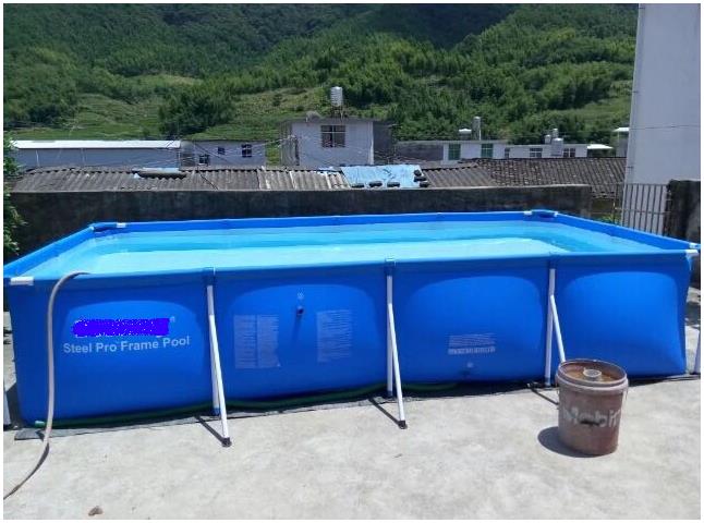 Brocade Carp Breeding Pool Fish Tank Temporary Rearing Pond Turtle box with mobile fish pool Folding Pool Pet Dog Dog Bath