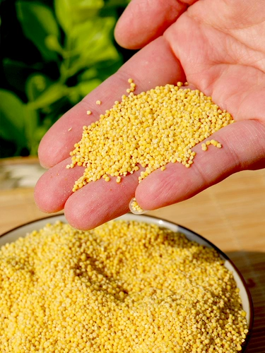 Столичная вода посадка красная долина Xiaomi Mi -Fennian Family New Rice Huang Xiaomi 400G Разное зерно Xiaomi