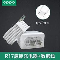 [R17] Оригинальное зарядное устройство+исходный кабель данных флэш-заряда (интерфейс Type-C)