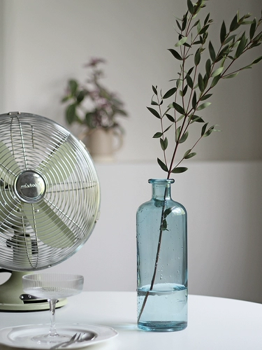 Wooken Fine Glass Vase Transparent Blue Simple Nordic Plug Volks Creative Decoration B & B Model Ins