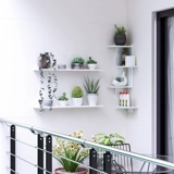 Угол полков настенной настенной настенной полки