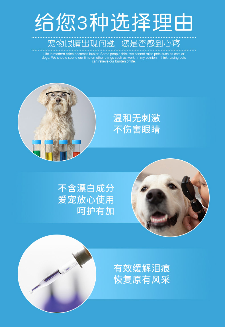 Thú cưng cung cấp thuốc nhỏ mắt hơn gấu đến nước mắt, thuốc nhỏ mắt, tạo tác, mèo, chó, thuốc nhỏ mắt, kháng khuẩn, chống viêm - Thuốc nhỏ mắt rohto antibacterial