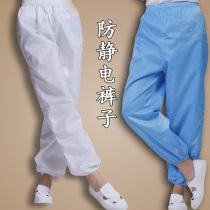  Anti-static split clothing pants Industrial anti-static clothing pants dust-free clothing workshop electrostatic work pants undercoat