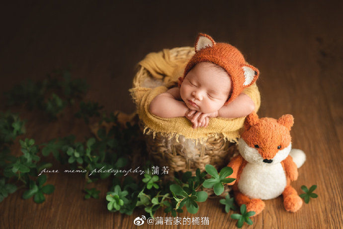 Newborn full moon cute little fox doll modeling photography photo simulation green plant tree vine prop basket combination