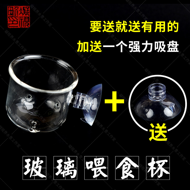 Super White Cylinder Glass Feeder Lamp Beetle Red Worm Cup Cast