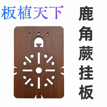 Staghorn fern hanging board, nail-free planting board, butterfly orchid and dendrobium hanging board, hot planting board, hole board, hot planting board