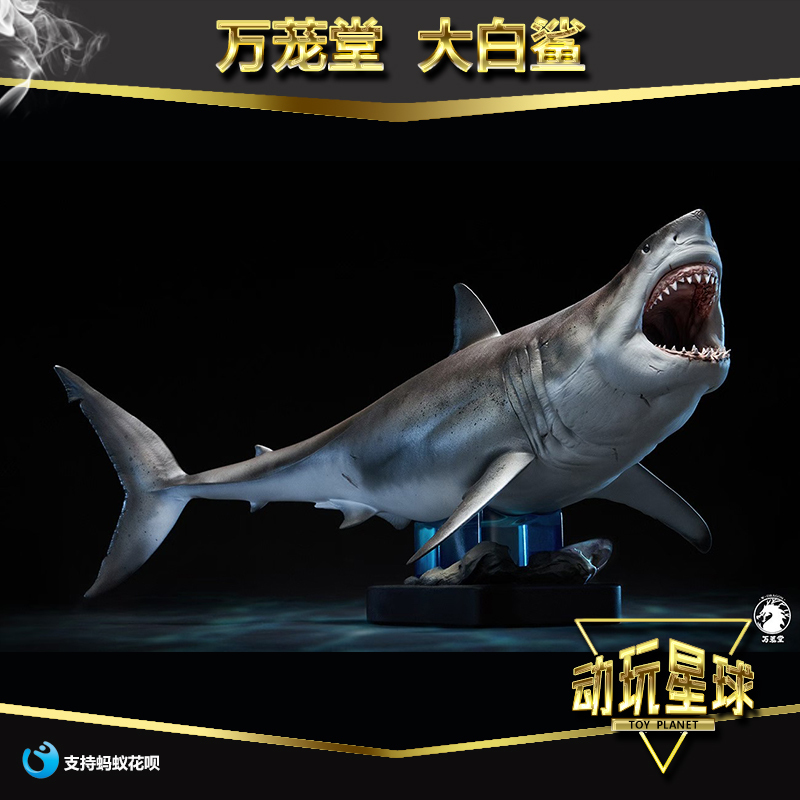 Wanlongtang 1/18 Great White Shark Pvc Shark Statue Realistic Animal Marine Life Megalodon Collectible Figurine Wanlongtang 1/18 Great White Shark Pvc Shark Statue Realistic Animal Marine Life Megalodon Collectible Figurine