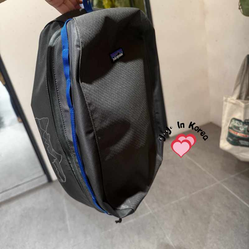 Korean Purchasing Agent Patagonia Patagonia Black Hole Cube 14L Storage Bag