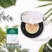 []] Đẩy cơ đậu nhạy cảm! VT CICA Centella Grass Tiger Air cushion BB cream Kem che khuyết điểm kiểm soát dầu kéo dài