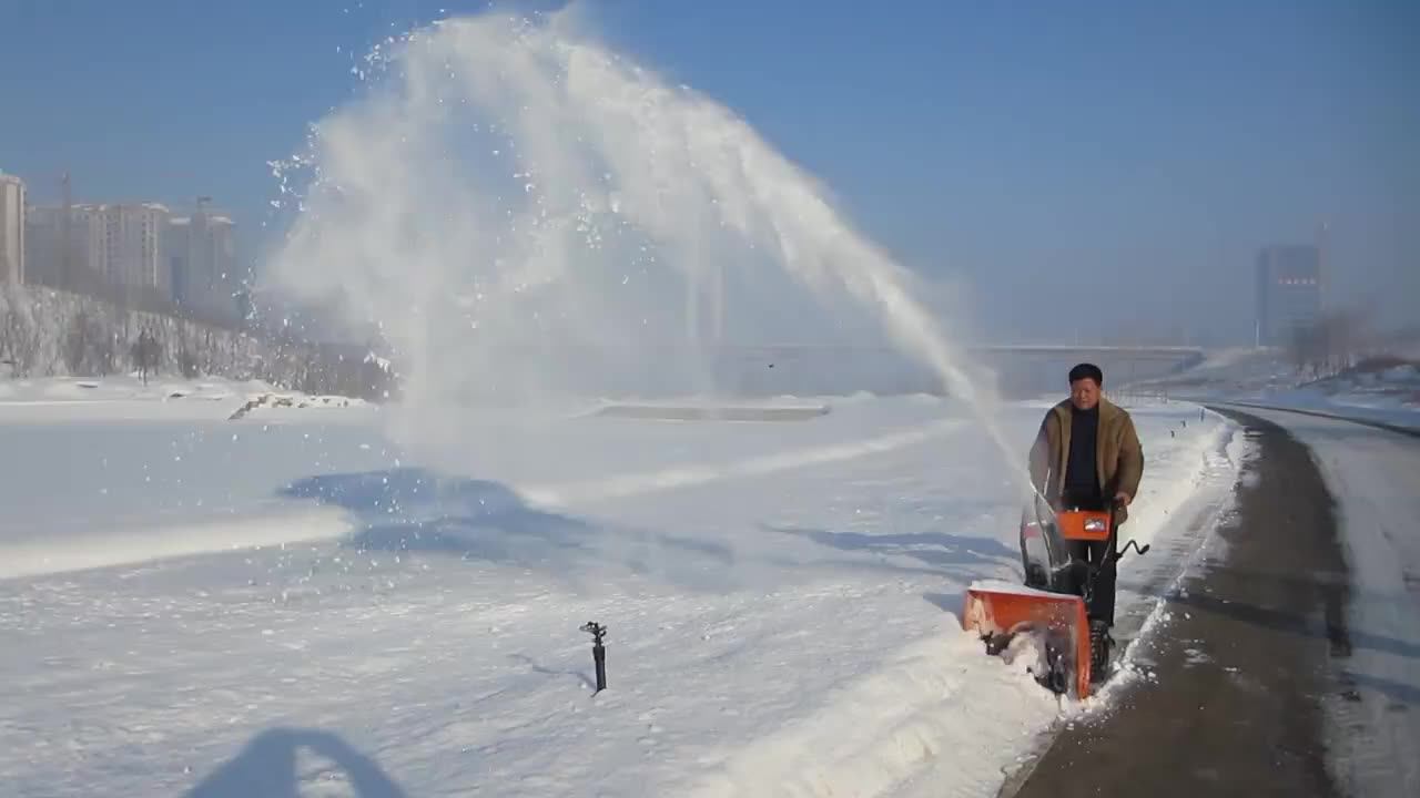 Professional Manufacturer Mobile Large Snow Machine/large Artificial