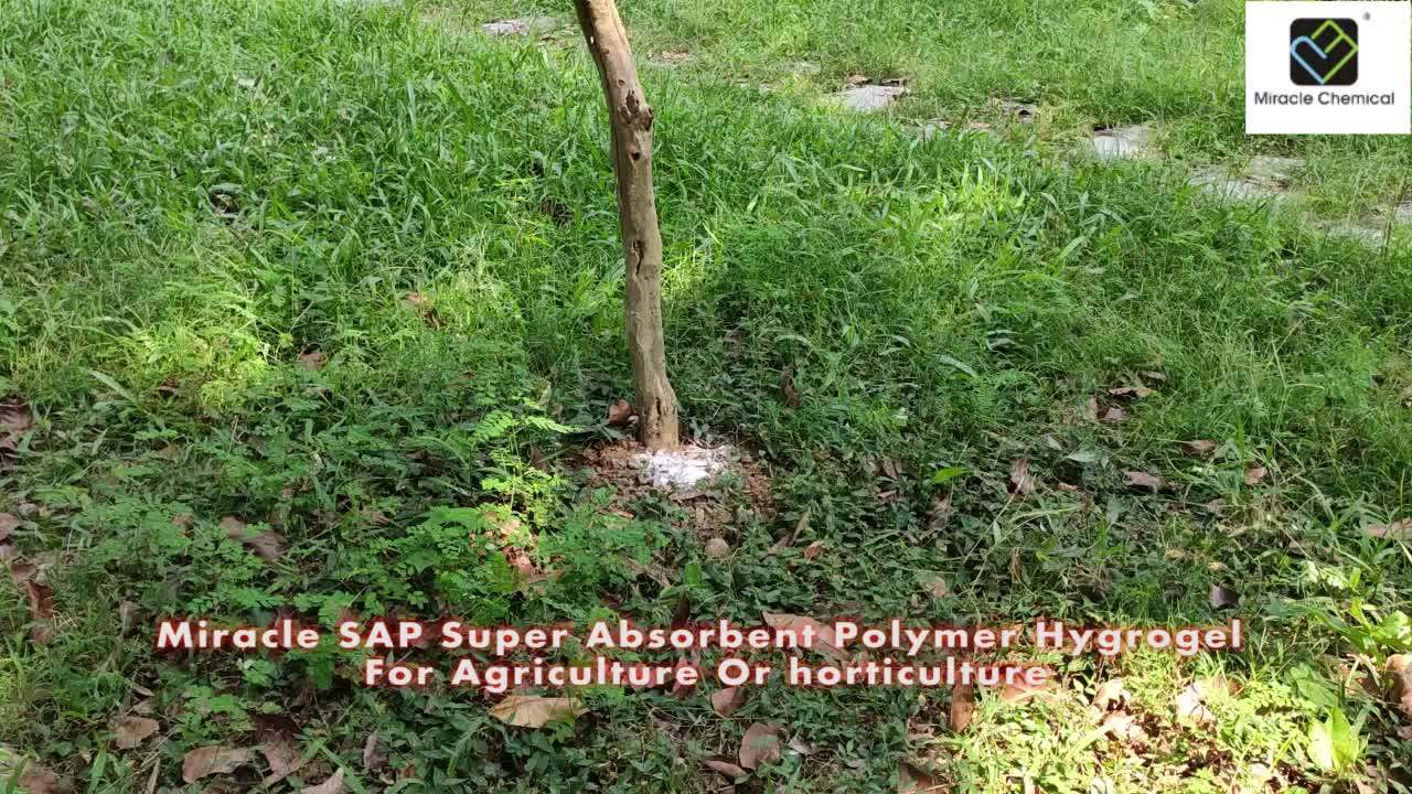 Agricultural Water Retention Agent Super Absorbent Polymer Super
