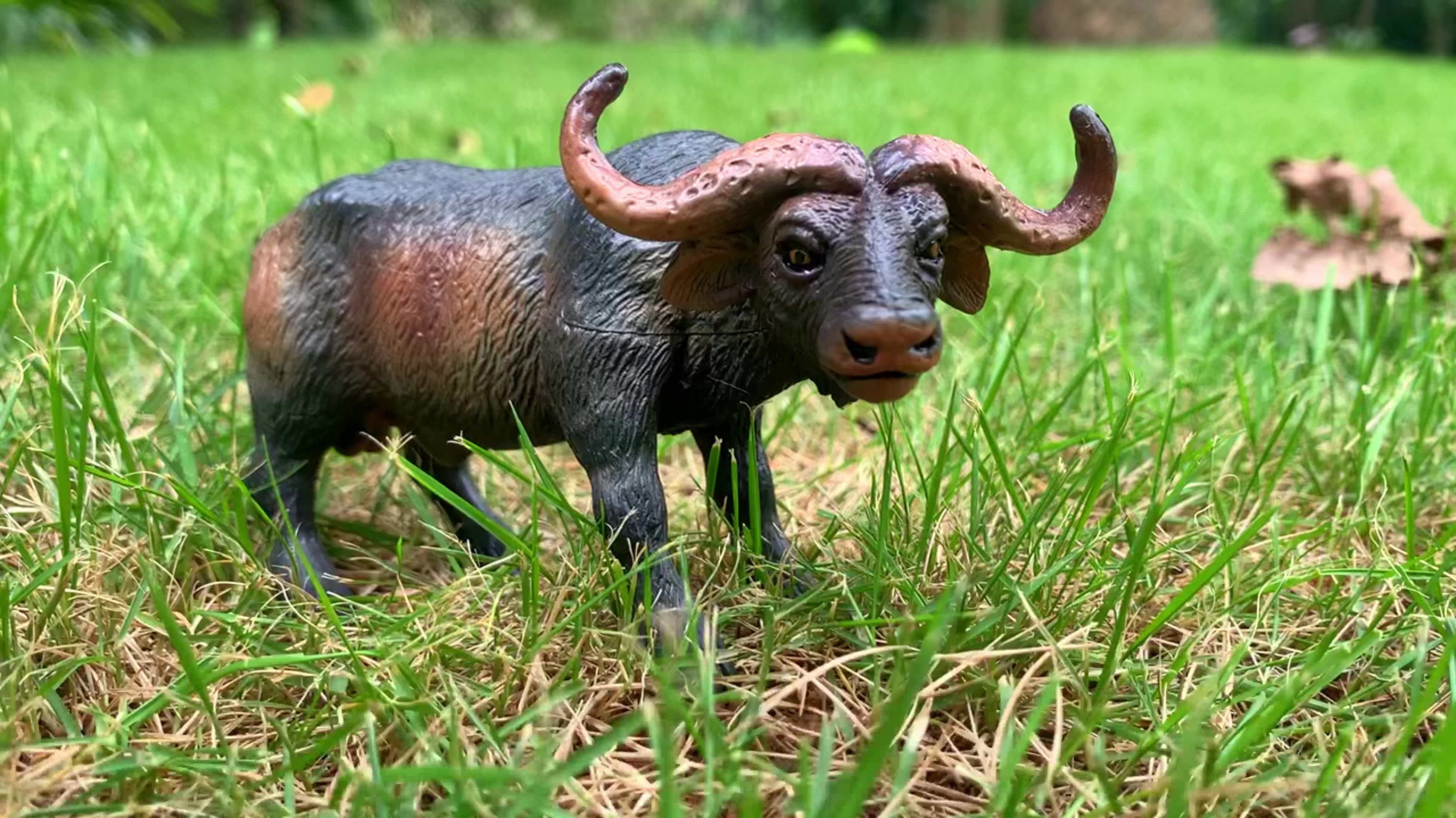 Ultra Realistic Muskox Cattle Collectible Toy Plush Figurine, OEM