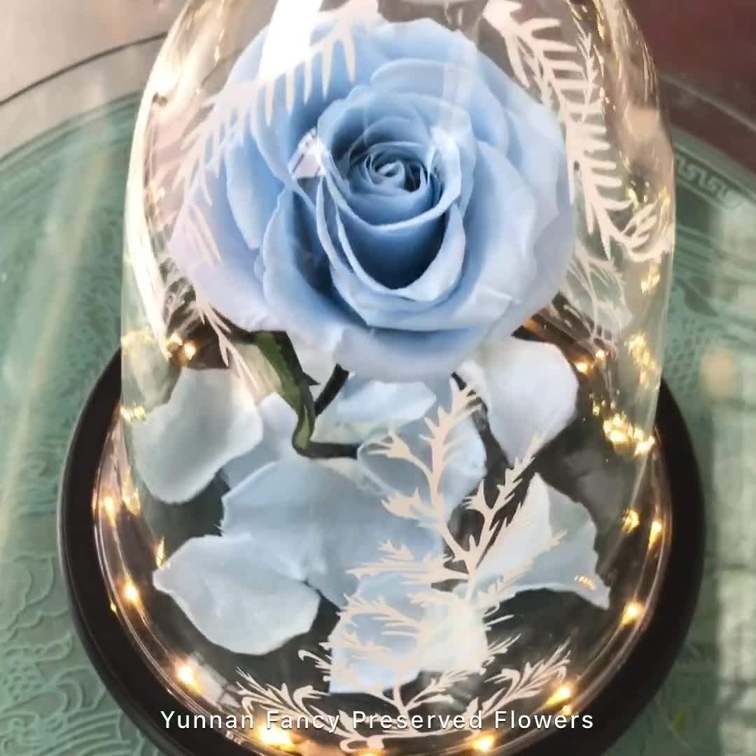 Wholesale Beauty And The Beast Rose Single Forever Rose In Glass Dome