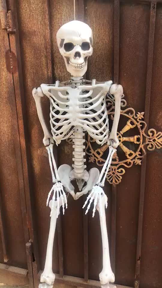 Боди скелет