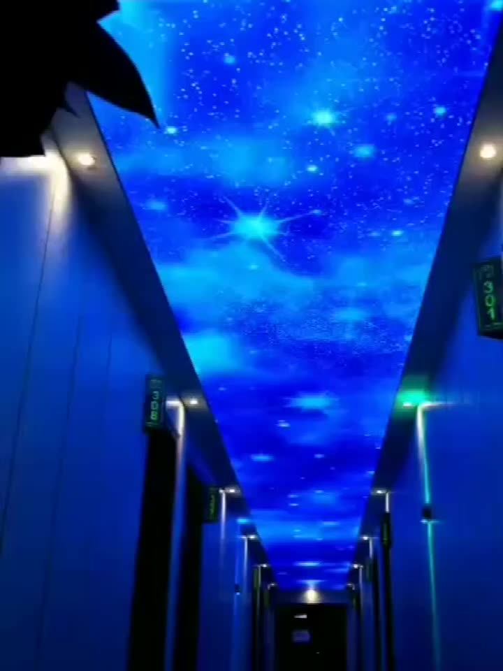 Bed Room Ceiling Decor Night Sky With Star Designs Led Fiber Optic