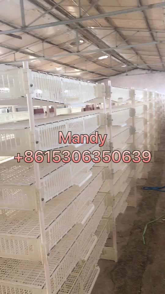 Big Discount Plastic Quail Cage Used Quail House Of Automatic Feeding
