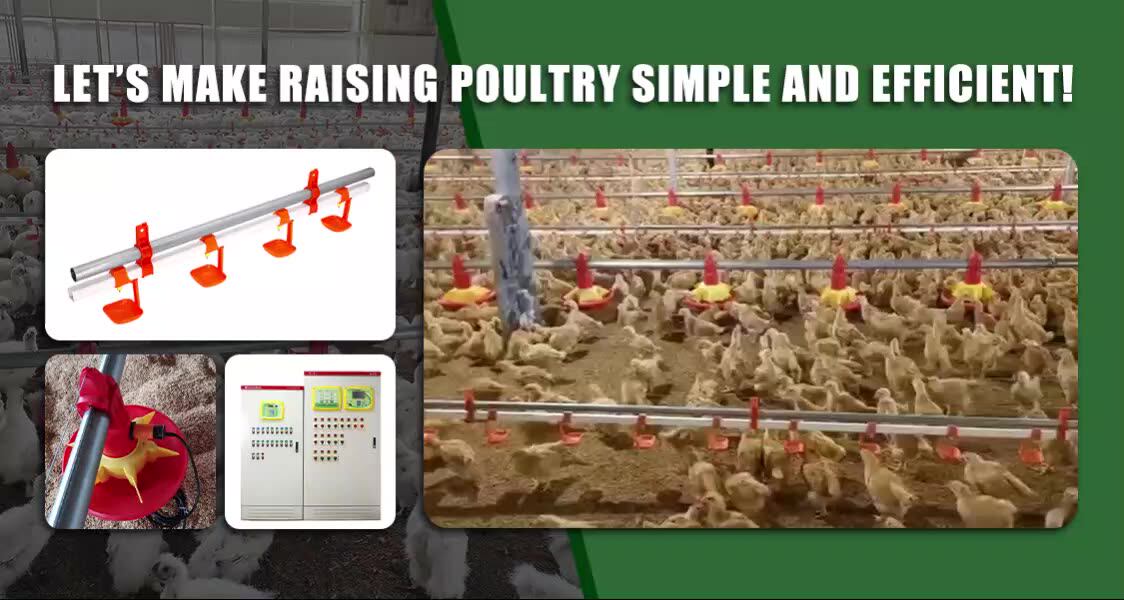 Automatic Poultry Closed House System Chicken Broiler Farm Equipment