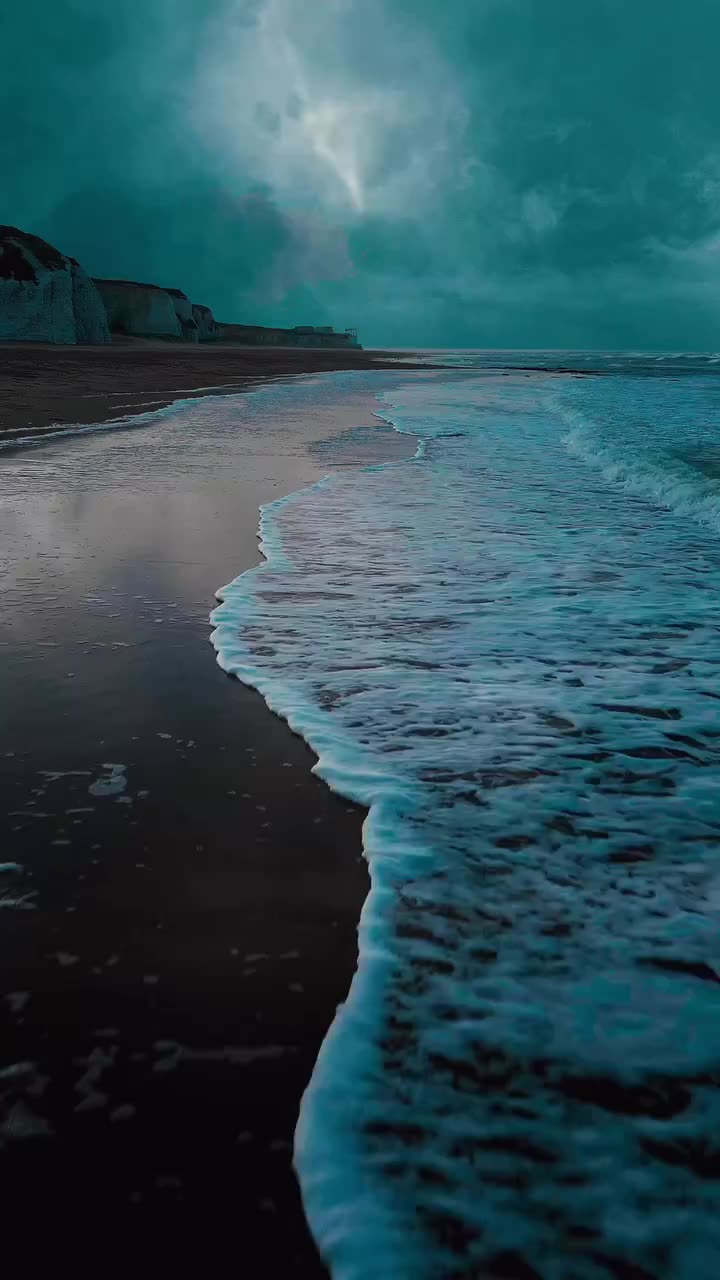 Trapstar Custom Logo Quilted Classic Unisex Winter Jacket Lightweight