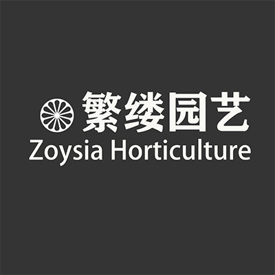 繁缕园艺