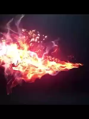 Phoenix brand lithium battery electric bicycle adult men and women power-assisted bicycle travel electric vehicle new national standard