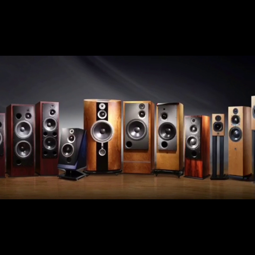 入墙电源线也卷价位样？英国灰武士这个根线，耳朵真能够够怀孕？