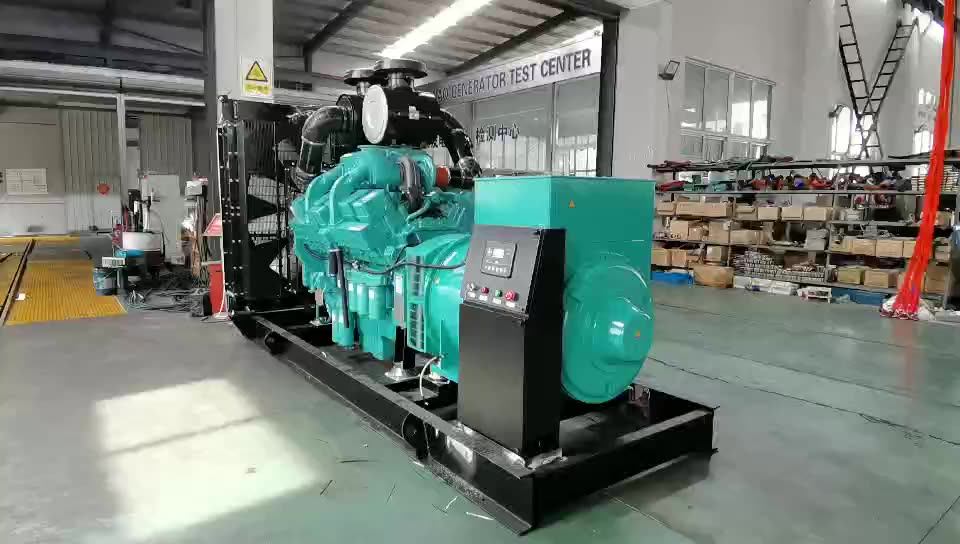 Hot Brand 500 Kw Natural Gas Power Generation Systems Electric Motor Generator Diesel 630kva