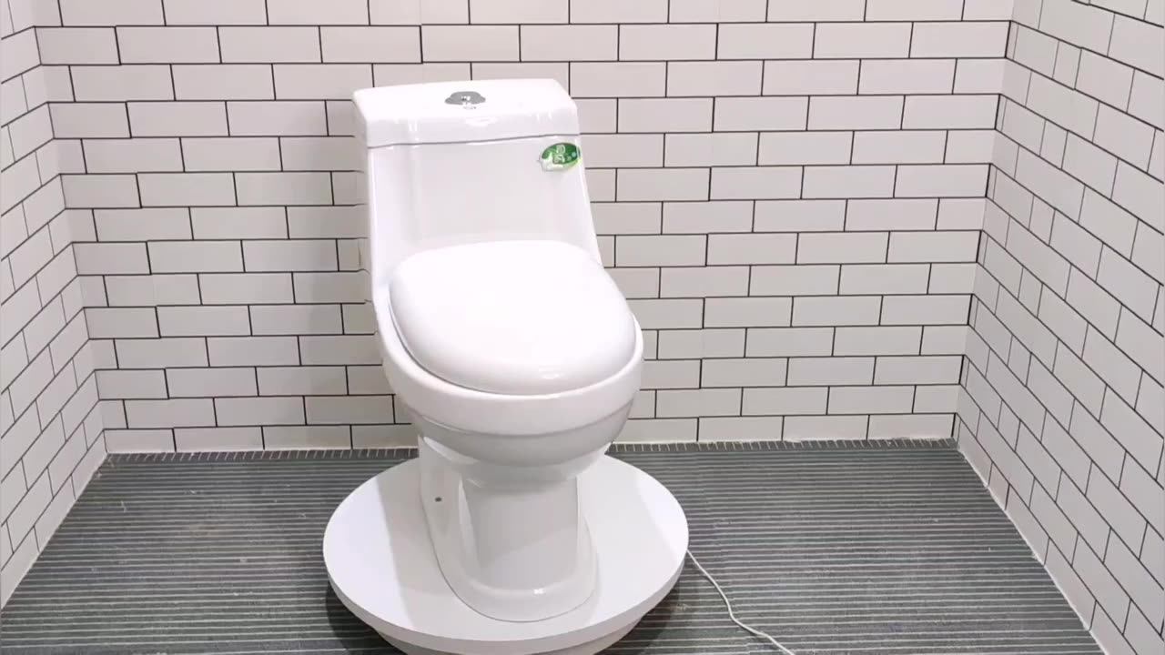 The Middle East Popular Design Combination Toilet Bidet, View the middle east toilet bidet, BF