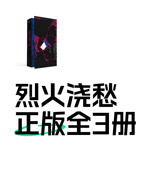 烈火浇愁正版全3册-淘宝逛一逛