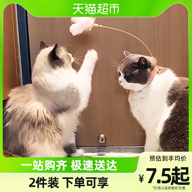 X Feet with Cat Sticks Cat Toy Self hi Suzuki Feather Replacement Head Deconsulting God Instrumental Toy Bucket Cat Supplies-Taobao