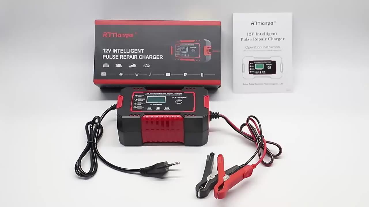 Professional Factory Car Charger Battery12v Auto Smart Charge Pulse