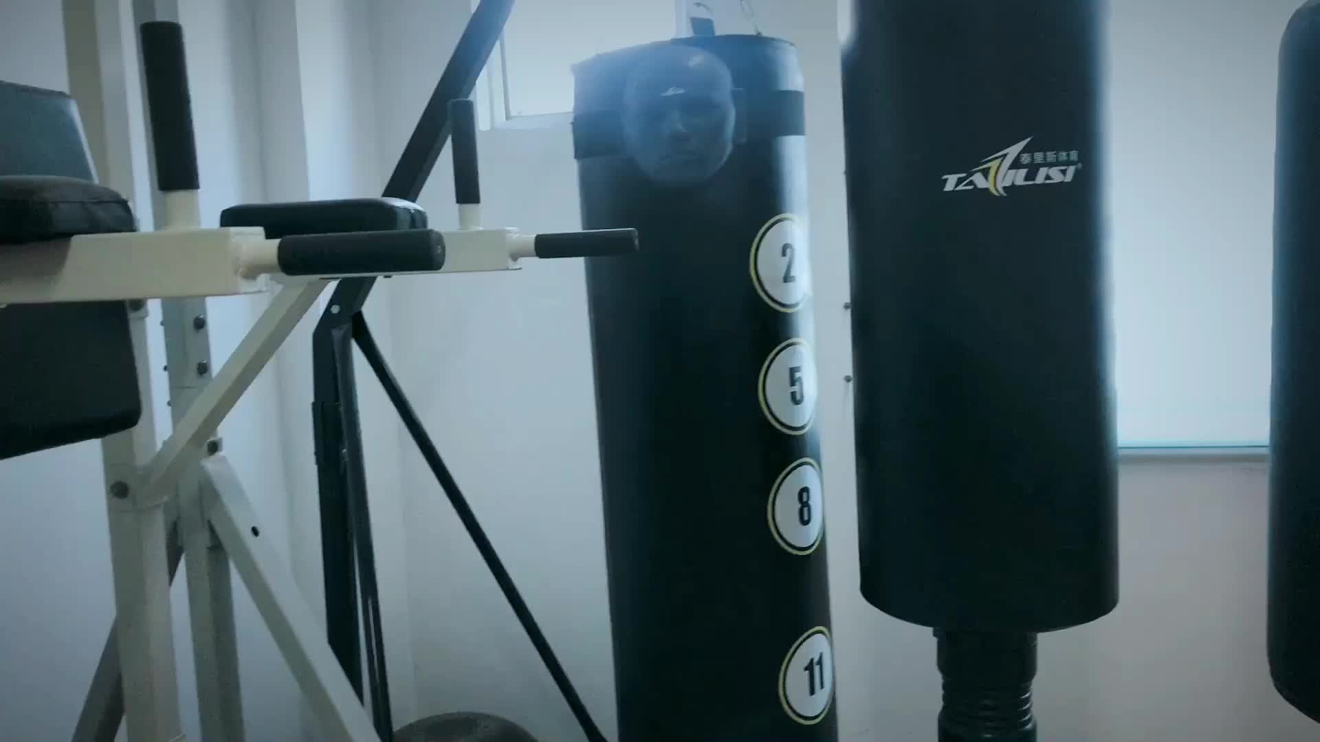 Tls Martial Arts Versys Vs.3 Fight Simulator Mma Boxing Kicking Bag