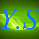 广东宜森家具批发店的LOGO