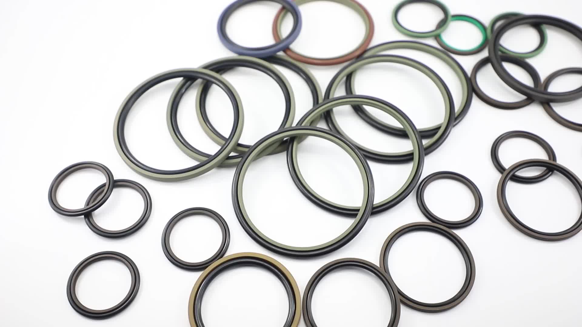 Dlseal Ptfe Piston Ring Hallitetype 54 Doubleacting Nbr Oring