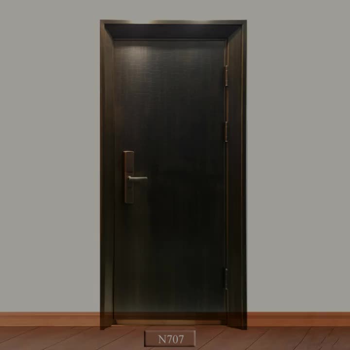 High Quality Galvanized Sheet Steel Door Copper Painting Surface For