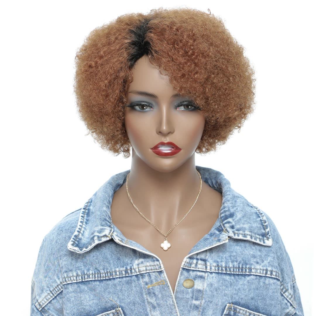 Wholesale Brazilian Colored Wigs Vendor 100 Natural Human Virgin