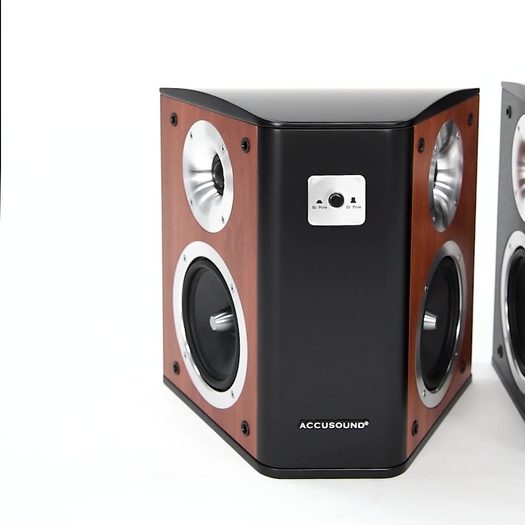 Accusound Bipole/dipole Surround Sound 