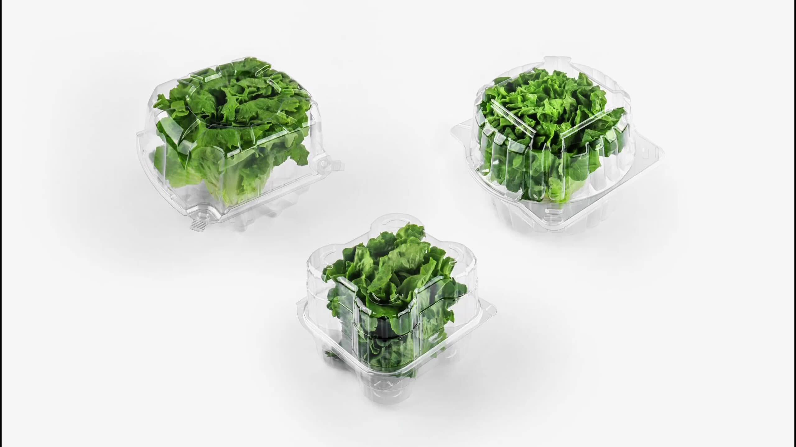 Custom Clear Plastic Clamshell Blister Lettuce Packaging Container Food