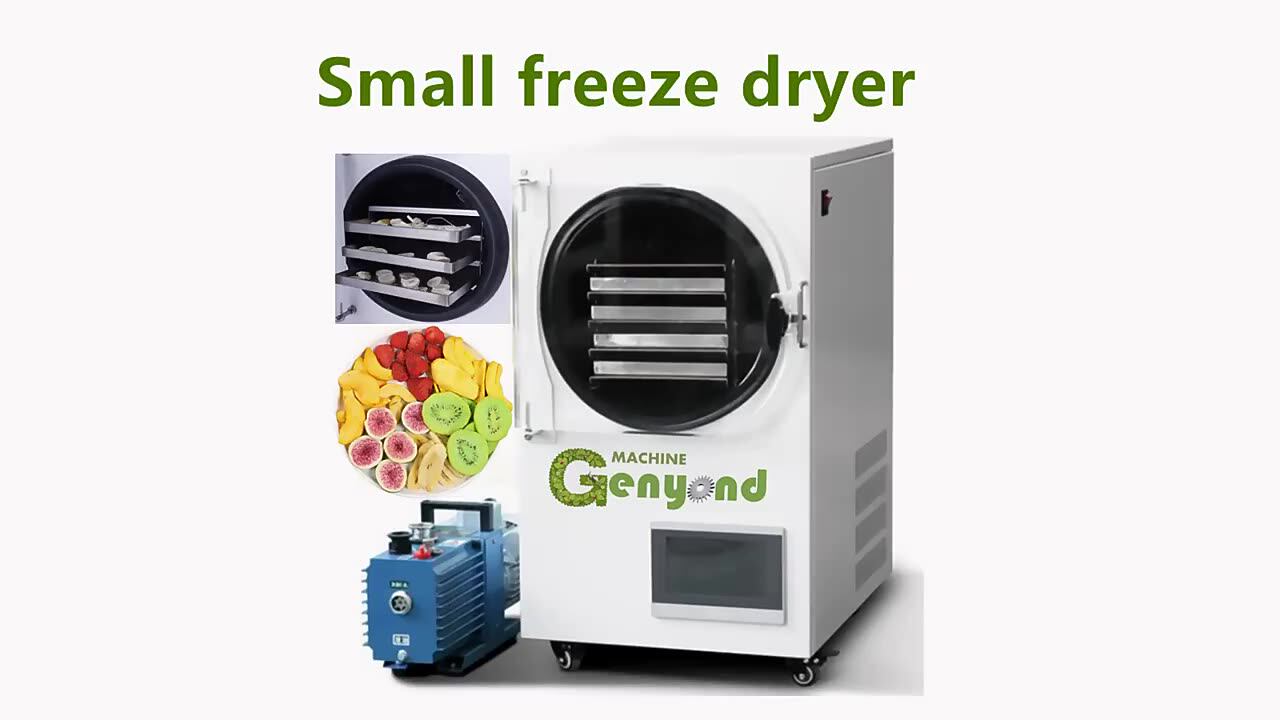 Small Commercial Lyophilizer Vacuum Freeze Drying Equipment Machine