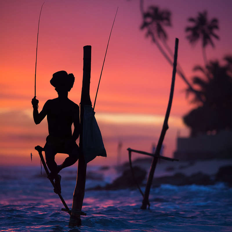 Zizai Ceylon Extreme Edition | Sri Lanka 7-Day Tour, Southeast Asia Group Tour, Nationwide Departures and Arrivals, Five-Star Accommodation Throughout.