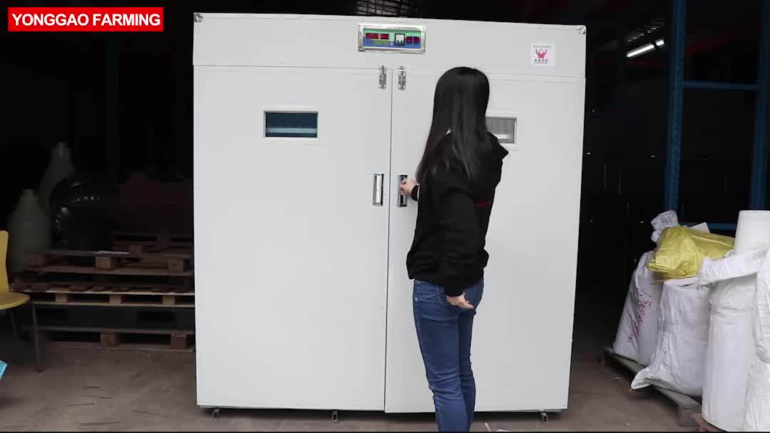 Cheap Thermostat Controller Chicken 3520 Hatching Egg Price Solar Power