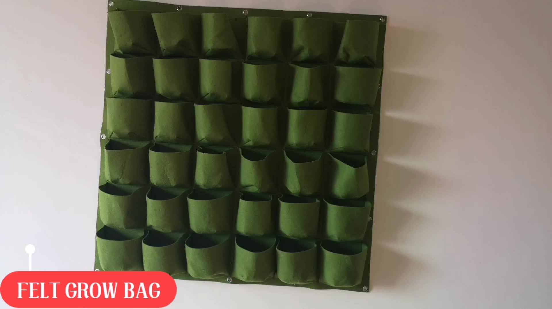 Vertical Wall Planter Outdoor Hanging Plant Frame Living Succulents