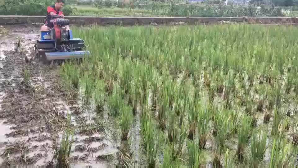 Hot Selling Smallscale Mini Rice Tiller/grain Field Tiller/paddy