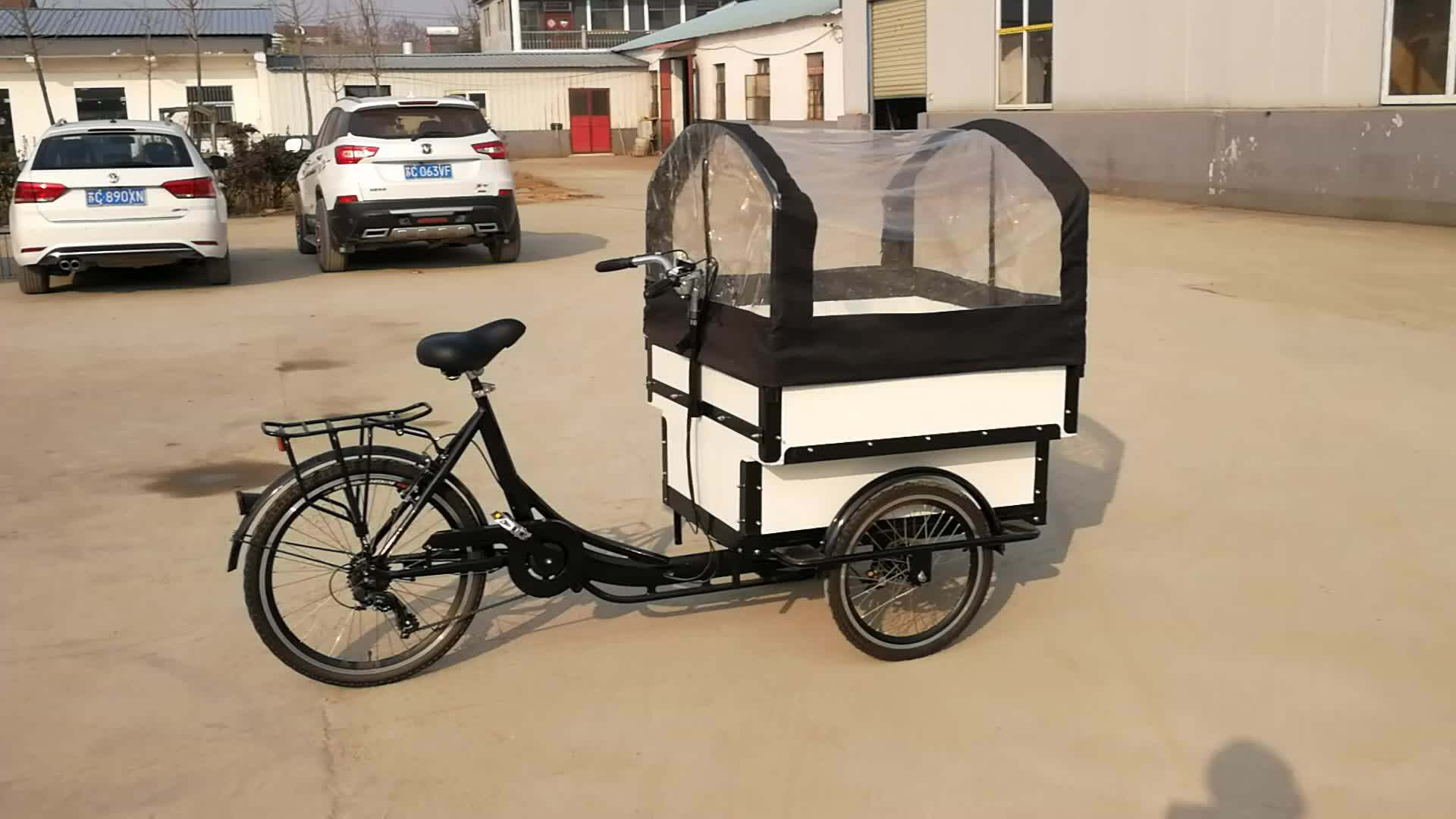 2019 New Adult Cargo And Passenger 3 Wheel Electric Bicycle Electric