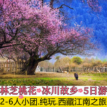 Tibetan Linzhi Peach Gao Diavo Sichuan Tibetan Line Sosong Village Nauzhu Lake Ancient Glacier Bassonc 5
