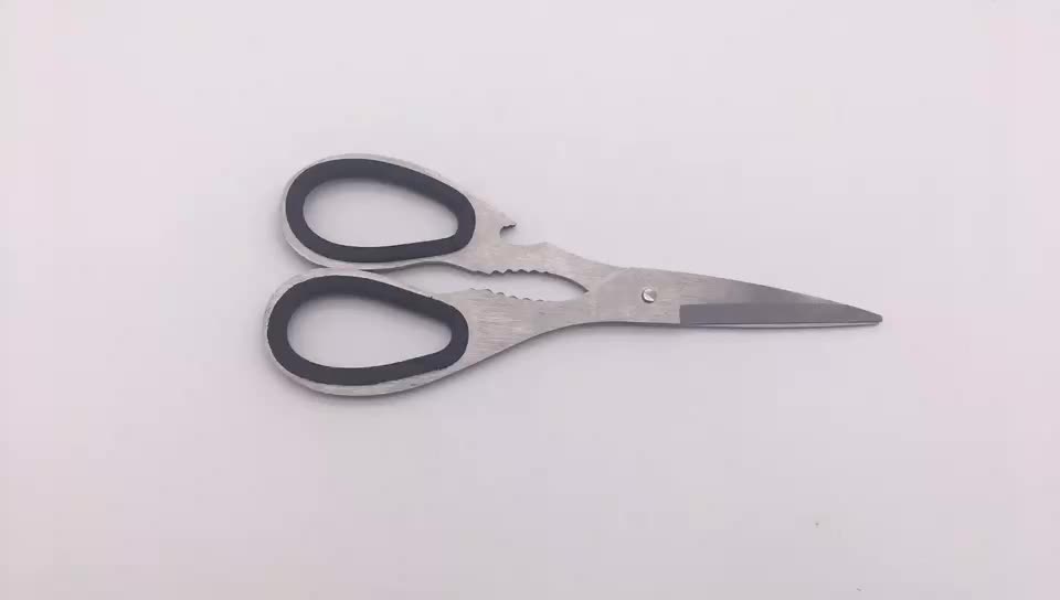 Fish Cutting All Purpose Professional Multi Purpose Stainless Steel