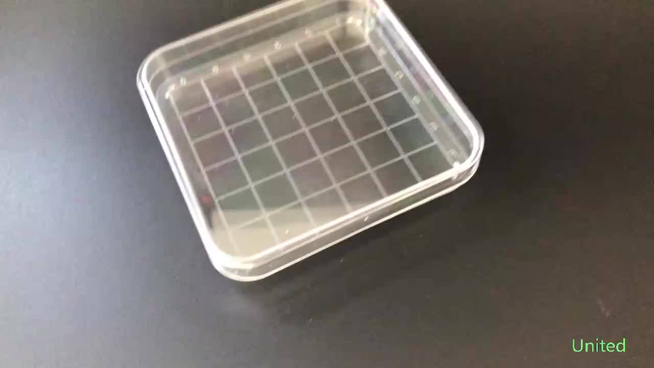 Sterile Square Grid Petri Dish 100x100mm Buy Petri Dish,Square Grid