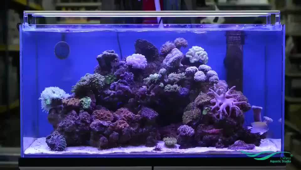 Eco Full Spectrum Led Aquarium Light Fits Coral Fish Plant Saltwater