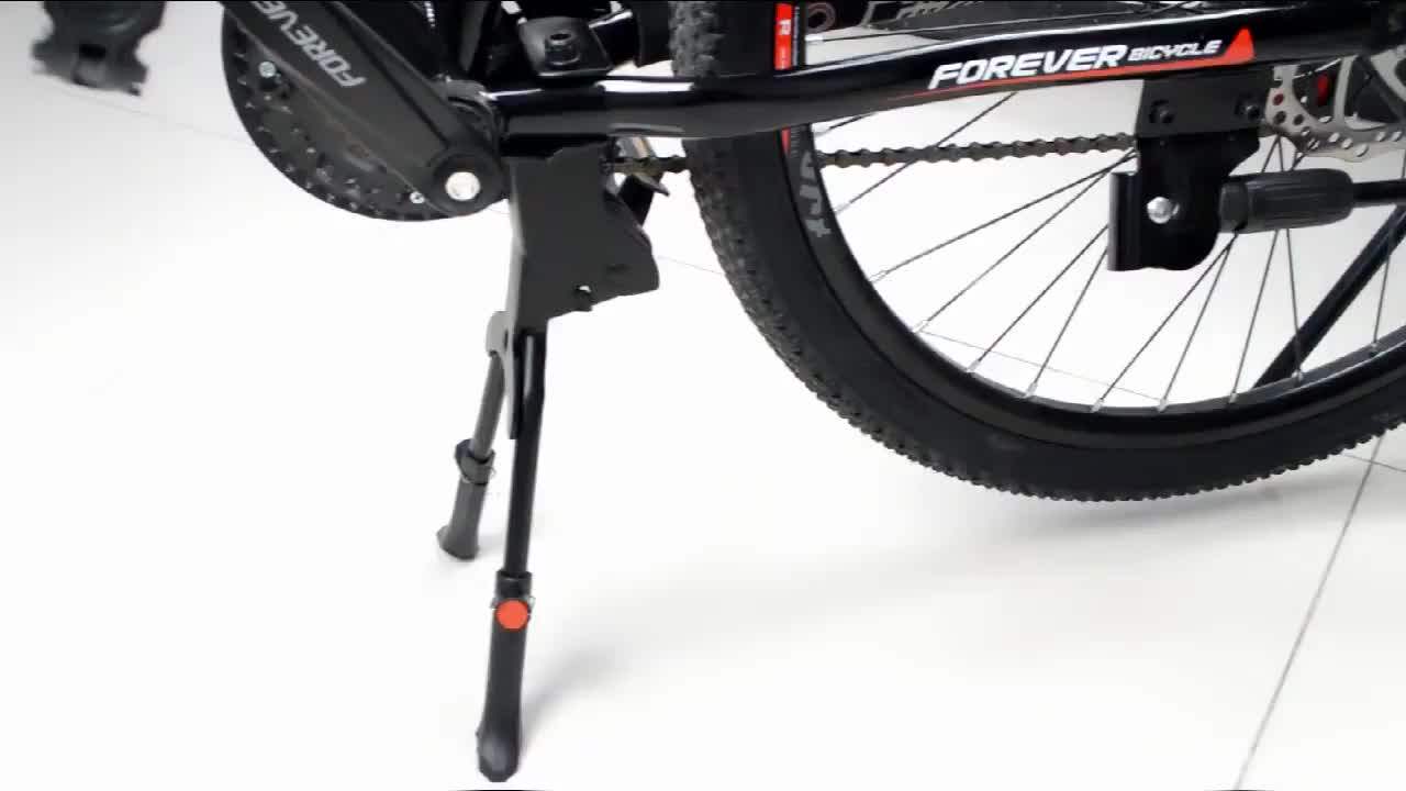 dual leg kickstand for bicycle