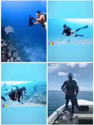 GULL3mm warm diving suit Front open zipper high-elastic wet coat scuba free diving two-piece surf wetsuit